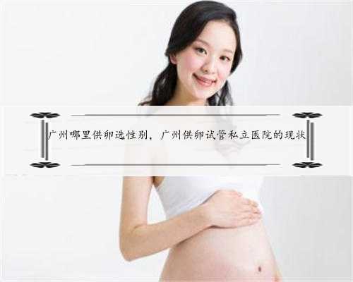 <b>广州哪里供卵选性别，广州供卵试管私立医院的现状</b>