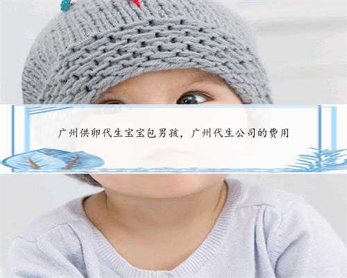 广州供卵代生宝宝包男孩，广州代生公司的费用