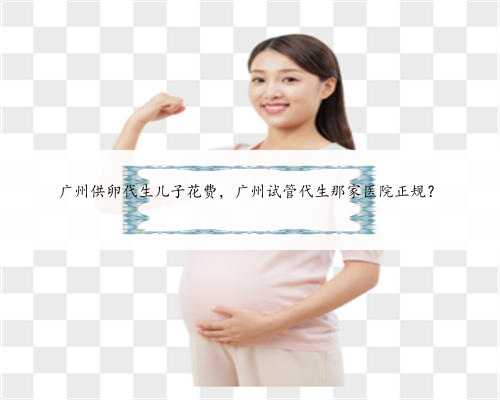 广州供卵代生儿子花费，广州试管代生那家医院正规？